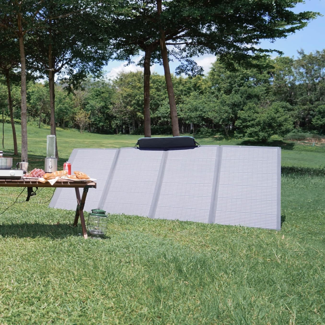 EcoFlow 400W Portable Solar Panel-Recommend